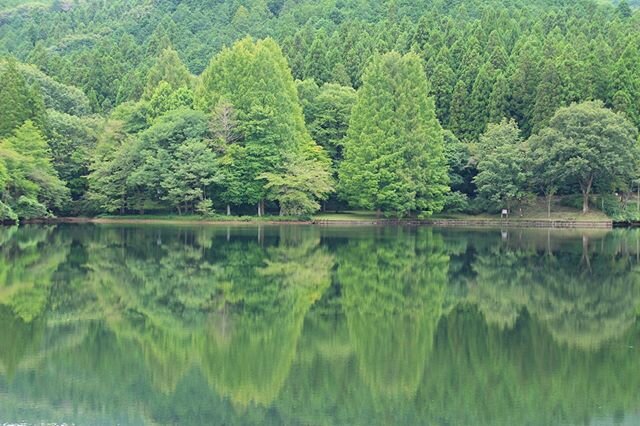 Login 窶｢ Instagram (186746)