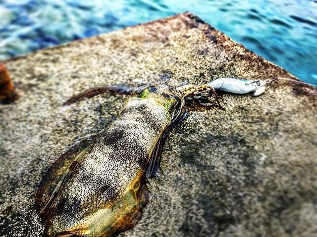 Login 窶｢ Instagram (187937)