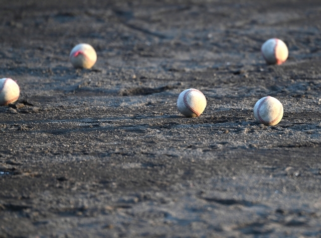 ボールボーイとは？プロ野球のバイト求人はどうやって探せばいいの？