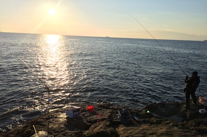 秋に釣れる魚とは？9月・10月・11月に狙える魚種