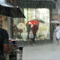 降水量50mmはどのくらい？大雨警報レベルの雨量による生活の影響とは？