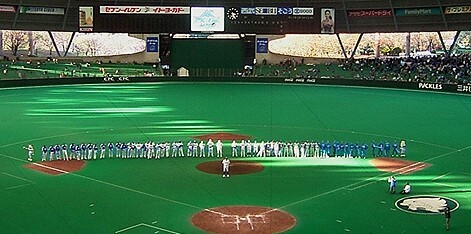 プロ野球のマジックとは？優勝までマジックナンバーをわかりやすく解説！