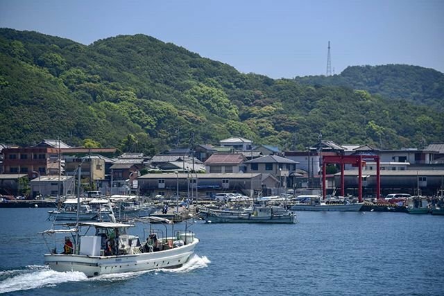 加太港の釣りポイント情報まとめ！初めて行く人にゼロから攻略法を解説