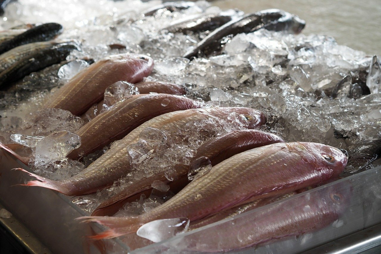 釣り餌はスーパーで買うのがお得！実用的なおすすめの餌とは？