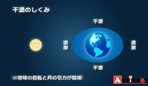 大潮・中潮・小潮・長潮・若潮とは？潮の満ち引きを理解しよう【釣り用語解説】