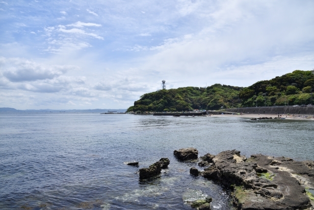 横須賀市の釣り場10選！おすすめのポイント別に釣れる魚と釣果を紹介！