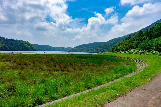 鹿児島県のバス釣りポイント8選！初めて行く人はどこがおすすめ？【釣り場情報】