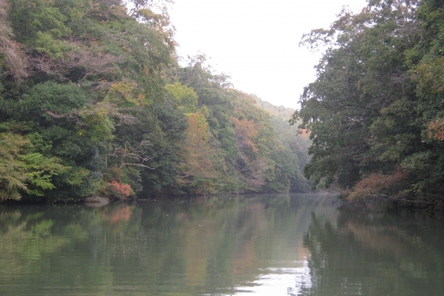 愛知県のバス釣りポイント9選！初めて行く人はどこがおすすめ？【釣り場情報】