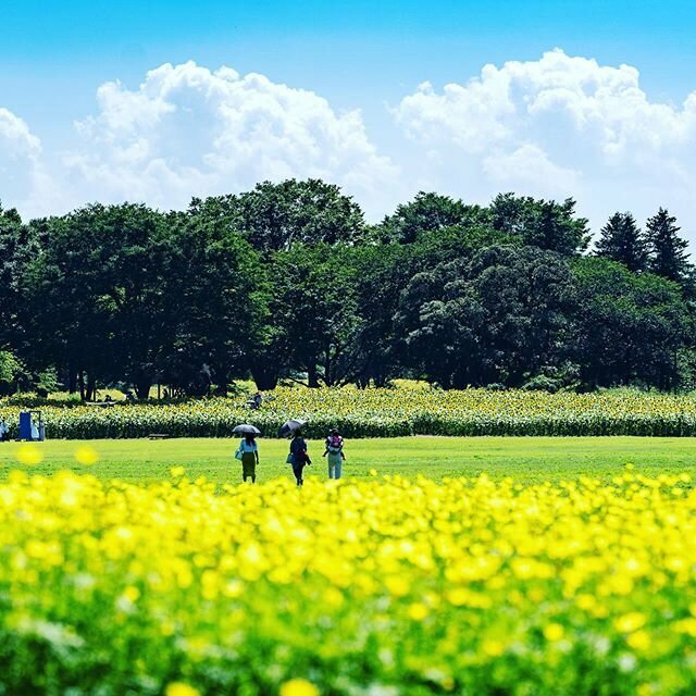 キャッチボールできる公園7選！大きい公園で親子で野球しよう【東京・神奈川など】