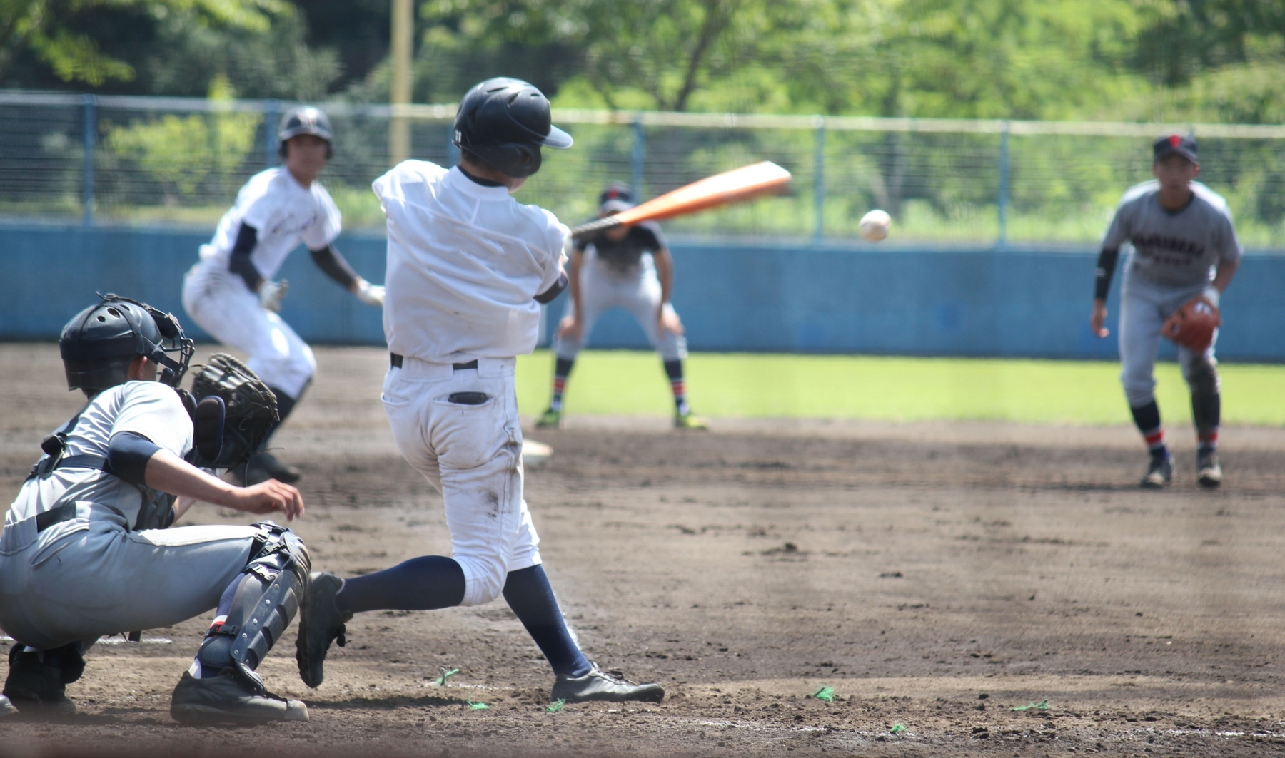 新潟県の野球の強豪高校とは？強さ順に10校をランキングで紹介！