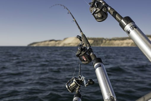 8月に釣れる魚15選！今のシーズンに海や堤防で狙える魚を紹介