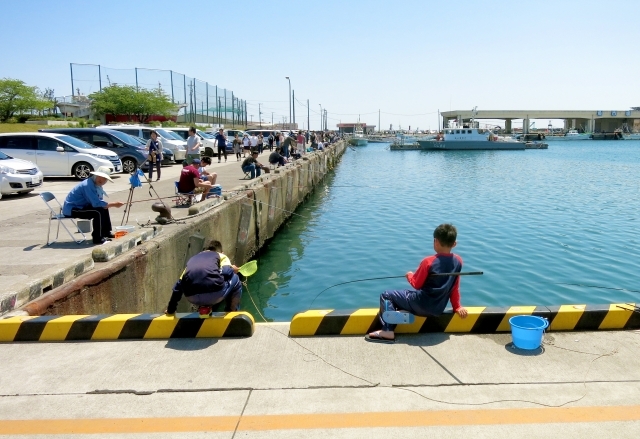 11月に釣れる魚11選！今のシーズンに海や堤防で狙える魚を紹介