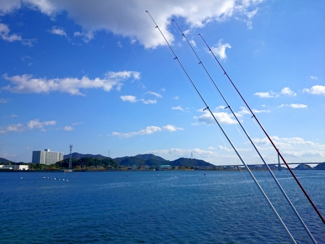 1月に釣れる魚8選！今のシーズンに海や堤防で狙える魚を紹介