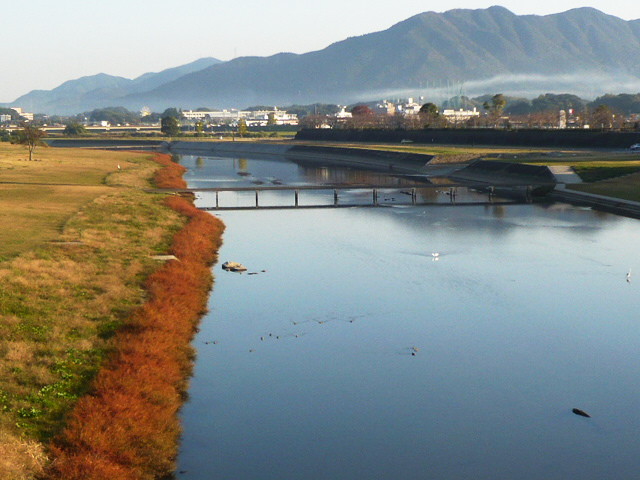 遠賀川のバス釣りポイント15選！おかっぱりから狙えるおすすめ場所とは？