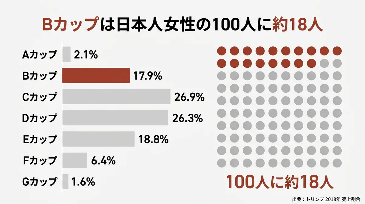 Bカップの割合を示すカップ別の棒グラフ図解(100人に約18人・Aカップ〜Gカップの中での位置)