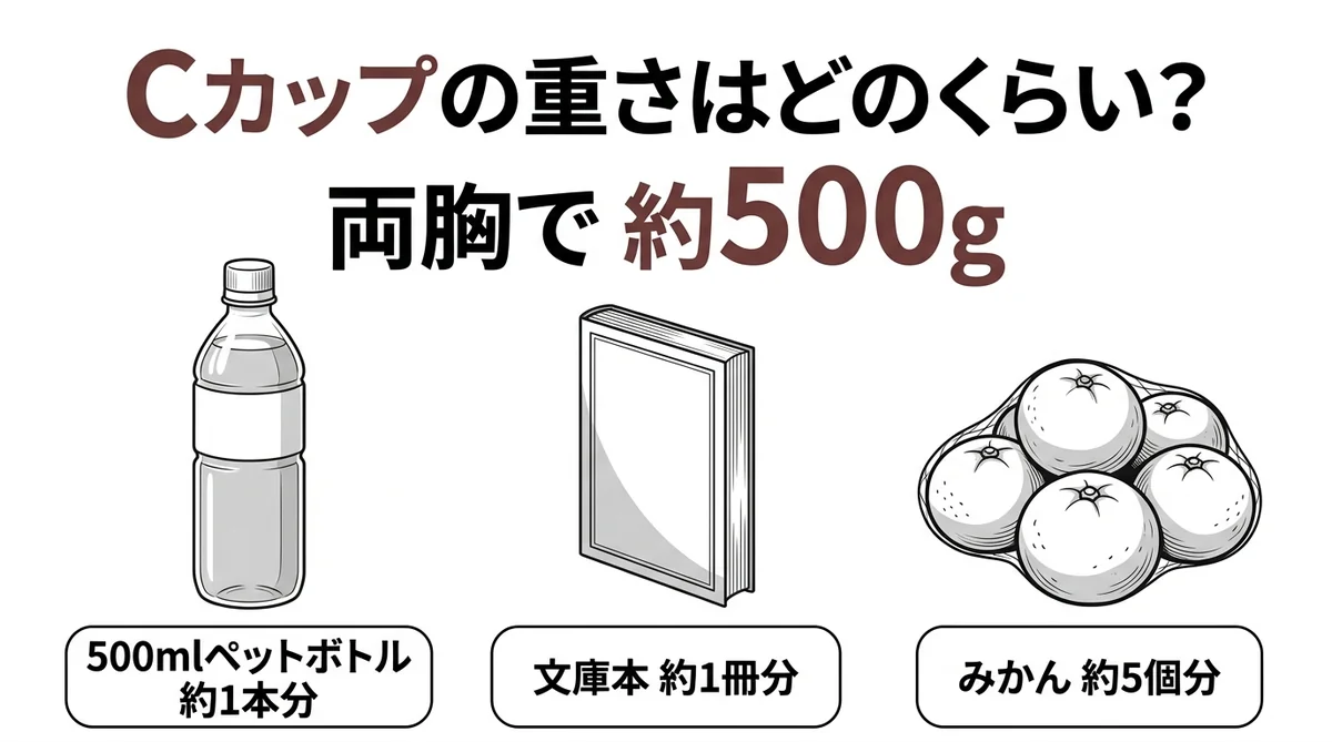 Cカップの重さ約500gを500mlペットボトル1本・文庫本1冊・みかん5個で例えた比較図解