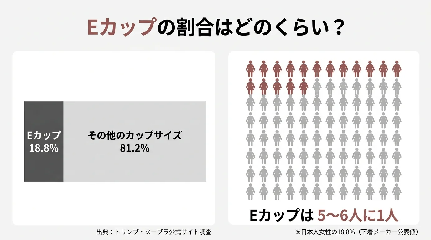 Eカップの割合図解（日本人女性でEカップは約5〜6人に1人の位置づけ）