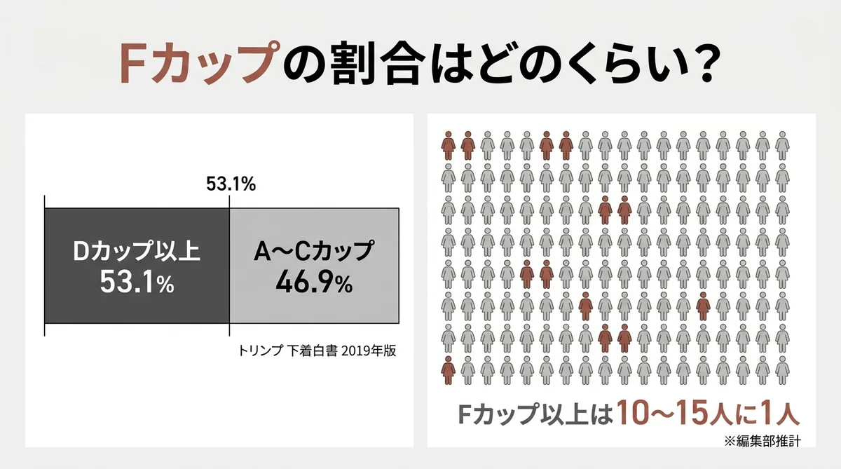 Fカップの割合図解（Dカップ以上53.1%とFカップは10〜15人に1人）
